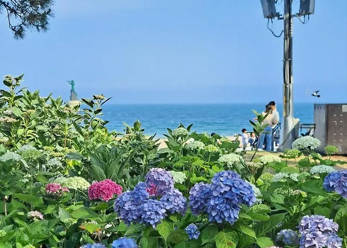 Sarangchae 公寓 *