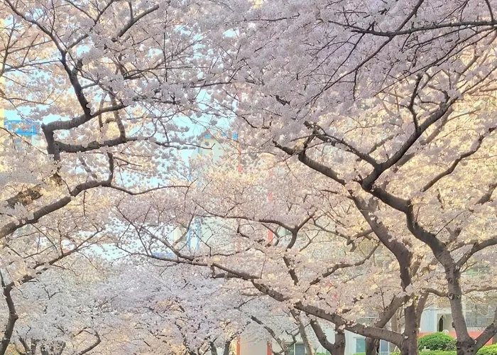 公寓 Sarangchae *